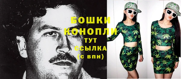 стафф Аркадак