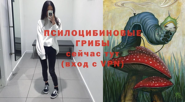 стафф Аркадак