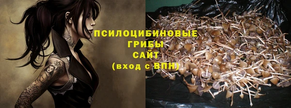 стафф Аркадак