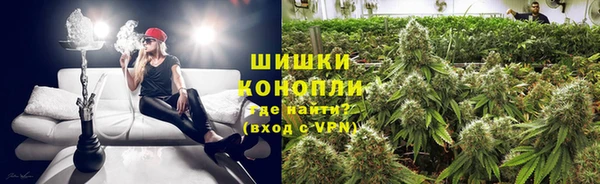 сатива Заволжье