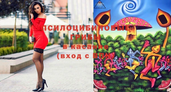 таблы Армянск