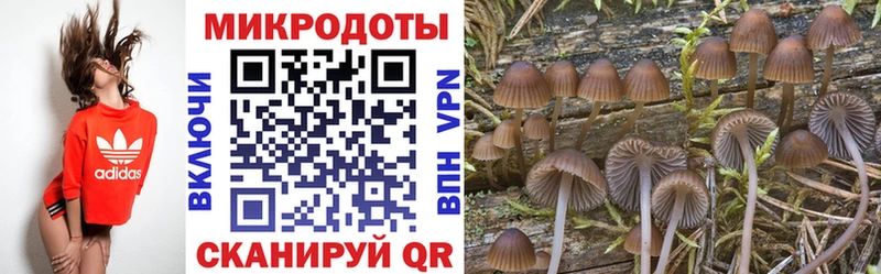 Галлюциногенные грибы Psilocybe  Волгодонск 